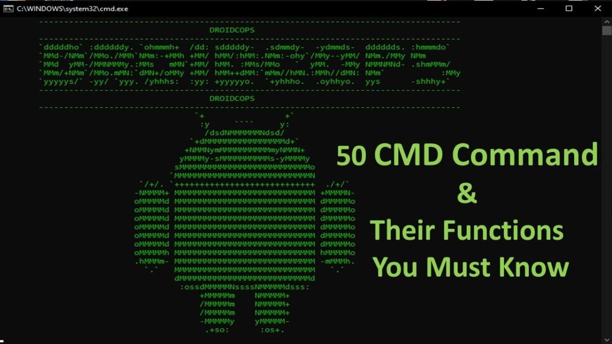 50-cmd-command-and-their-functions-you-must-know-droidcops