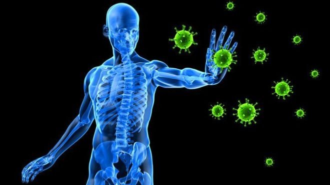 How to keep the immune system healthy against the coronavirus