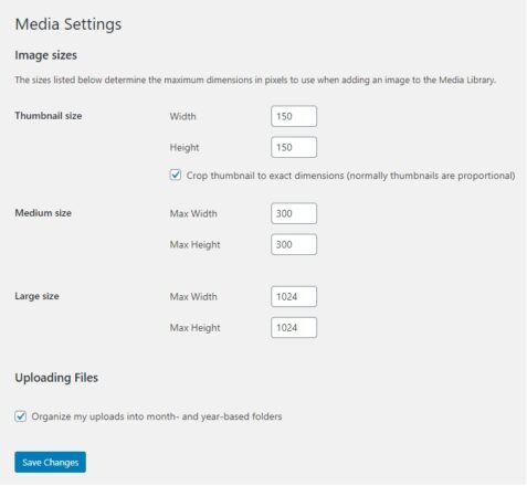 Serve Scaled Images: Improve Your Site Performance 6